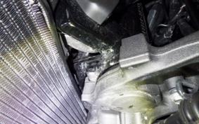 KAWASAKI Z900RS 2025 ZR900K