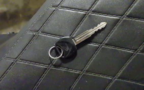 HONDA REBEL 250 S MC49