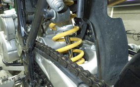 KAWASAKI KLX250 2022 LX250E