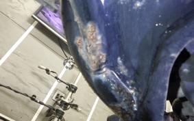 HARLEY XG750ｽﾄﾘｰﾄ 2016