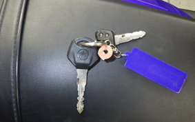 YAMAHA YZF-R25 A 2005 RG43J