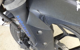 KAWASAKI Z250 ER250C