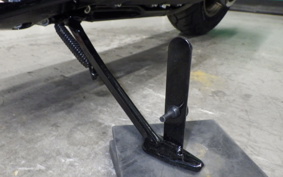 HARLEY FXLRST1920 2025