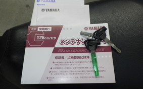 YAMAHA BW S125 Gen.2 2019 SED9J