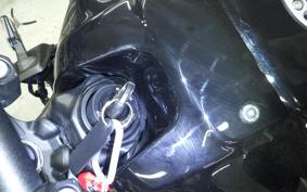 YAMAHA XSR900 2024 RN80J