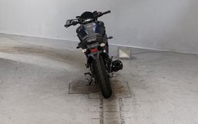 YAMAHA FATHER 250 RG42