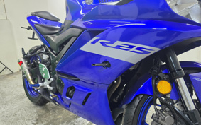YAMAHA YZF-R25 ABS RG43J