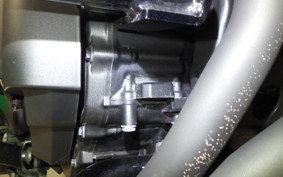 HONDA REBEL 1100 T DCT 2024