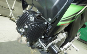 KAWASAKI Z125 PRO 2007 BR125H