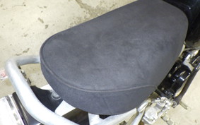 OTHER +UNREGISTERED MODEL by BDS125 2015 GC017