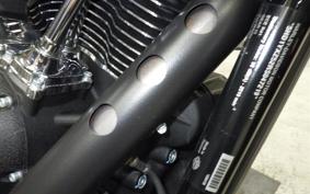 HARLEY FXLRST1920 2025