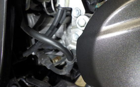 HONDA TACT Basket 2026 AF75