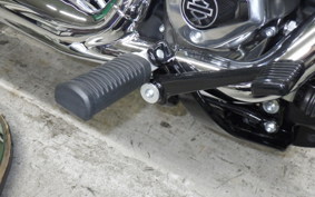 HARLEY FXBB1920 2026