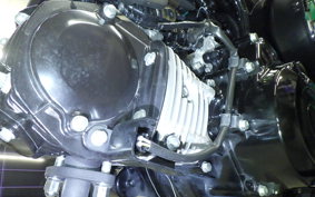 HONDA DAX 125 2025 JB06