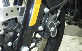 HARLEY XL1200NS 2019