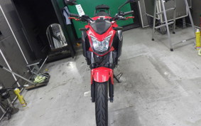 HONDA CB250FA 2007 MC43