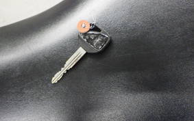 HONDA CBR1000RR 2004 SC57