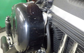 HARLEY XL883N 2018