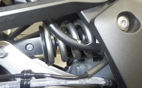 KAWASAKI NINJA 1000SX 2025