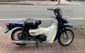 SUZUKI BIRDIE 50