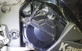 KAWASAKI NINJA 250 2010 EX250L