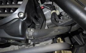 HONDA ZOOMER AF58
