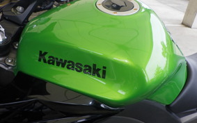KAWASAKI NINJA 1000 2012