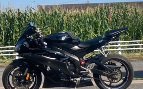 YAMAHA YZF-R6 2006 RJ12