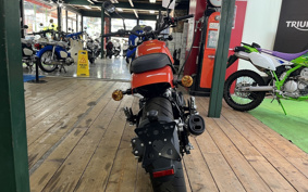 HARLEY X500 2024 W5B