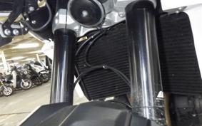 TRIUMPH TIGER 1200 2019