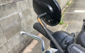 HARLEY FXLRS 2025 YWA