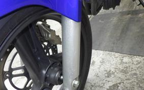 HONDA HORNET 250 2025 MC31