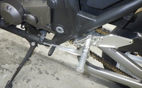 KAWASAKI ZRX1200 D 2013 ZRT20D