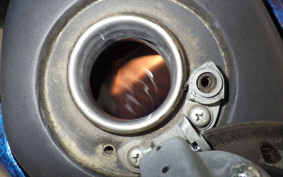 KAWASAKI KLX250D TRACKER X 2021 LX250V