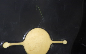 YAMAHA TRICITY 125 2005 SE82J