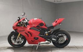 DUCATI PANIGA-REV4S 3D00AA