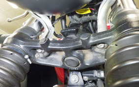 TRIUMPH SPEED TWIN 900 2022