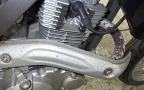 KAWASAKI KLX125D TRACKER 2025 LX125D