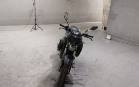 YAMAHA FZ25 RG42