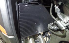 HONDA NX400 2024 NC65