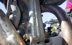 HONDA AX-1 2006 MD21