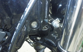 HARLEY FXBB1920 2025