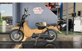 SUZUKI BIRDIE50 BA43A