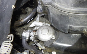 YAMAHA MAXAM 250 SG21J