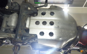 KAWASAKI SUPER SHERPA 2020 KL250G