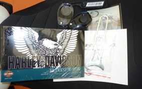 HARLEY FLTRXSTSE1980CVO 2024