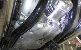 KAWASAKI W800 2024 EJ800E