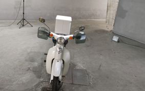 HONDA LITTLE CUB AA01