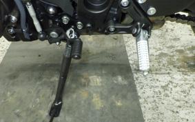 YAMAHA XSR900 2026 RN80J