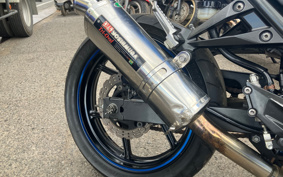 KAWASAKI NINJA 250R EX250K